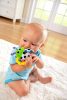 Bitty Bite Bug Rattle 4.5 tum (Packning av 1)  |   Rattle & Plush Rings Rattle & Plush Rings Rattle & Plush Rings