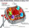 Dinosaurieleksaker För Barn 3-5 År, Barnleksaker Ålder 2-4 År, Dino Volcano Whack A Mole Spel Med 2 hammare, Musikalisk Spray Belysning Lär dig Ute Förskolepresent till 2 3 4 5 6 År Gamle pojke Flicka  |   Hammering & Pounding Toys Hammering & Pounding Toys Hammering & Pounding Toys